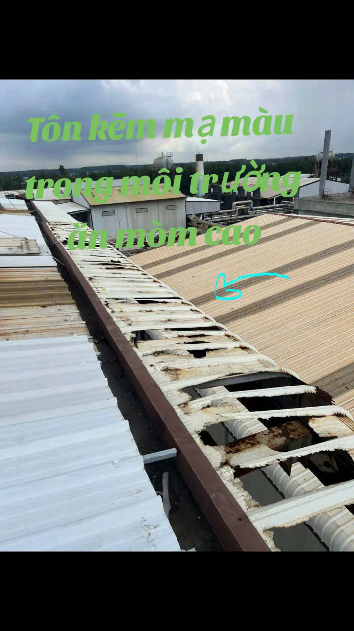 20260520/745e5c2064abec231cffb1343c7fb896.jpg 20260520/745e5c2064abec231cffb1343c7fb896.jpg